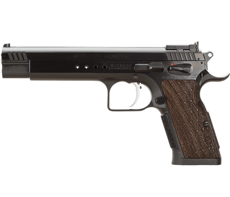 An example Bear Defense pistol, the EAA Witness Hunter 10mm.
