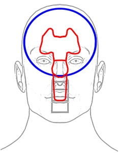 Sage Dynamics Anatomical Head Target
